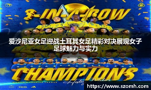 快盈VIII
