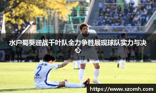 快盈VIII