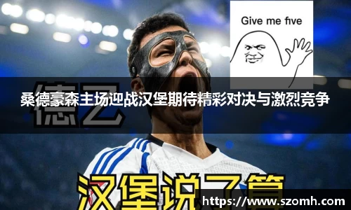 快盈VIII